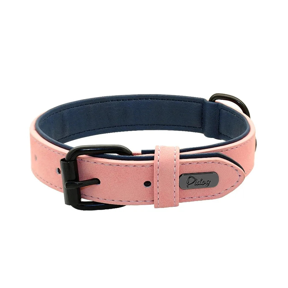 Personalized Dog Collar – Because Every Walk Is an Adventure That Deserves the Best