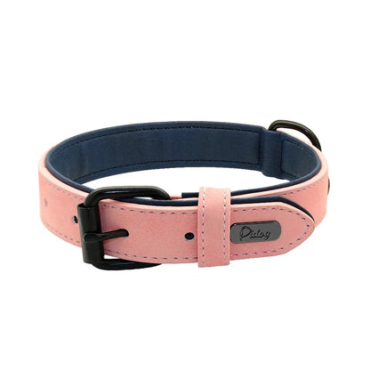 Personalized Dog Collar – Because Every Walk Is an Adventure That Deserves the Best
