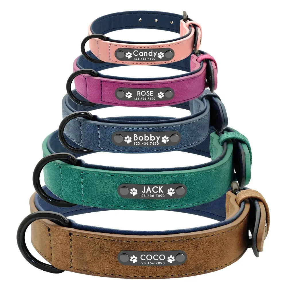 Personalized Dog Collar – Because Every Walk Is an Adventure That Deserves the Best