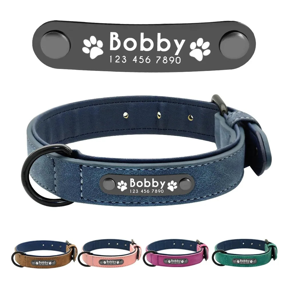 Personalized Dog Collar – Because Every Walk Is an Adventure That Deserves the Best