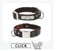 Personalized Dog Collar – Because Every Walk Is an Adventure That Deserves the Best