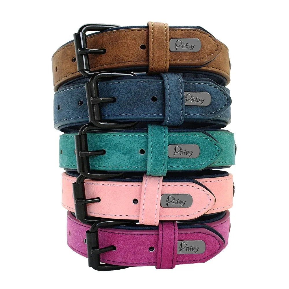 Personalized Dog Collar – Because Every Walk Is an Adventure That Deserves the Best