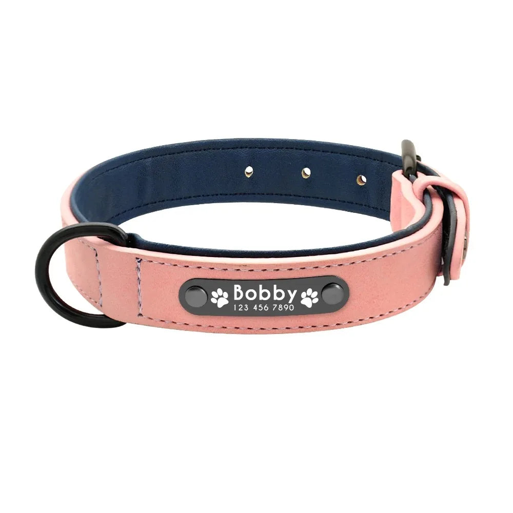 Personalized Dog Collar – Because Every Walk Is an Adventure That Deserves the Best