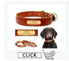 Personalized Dog Collar – Because Every Walk Is an Adventure That Deserves the Best