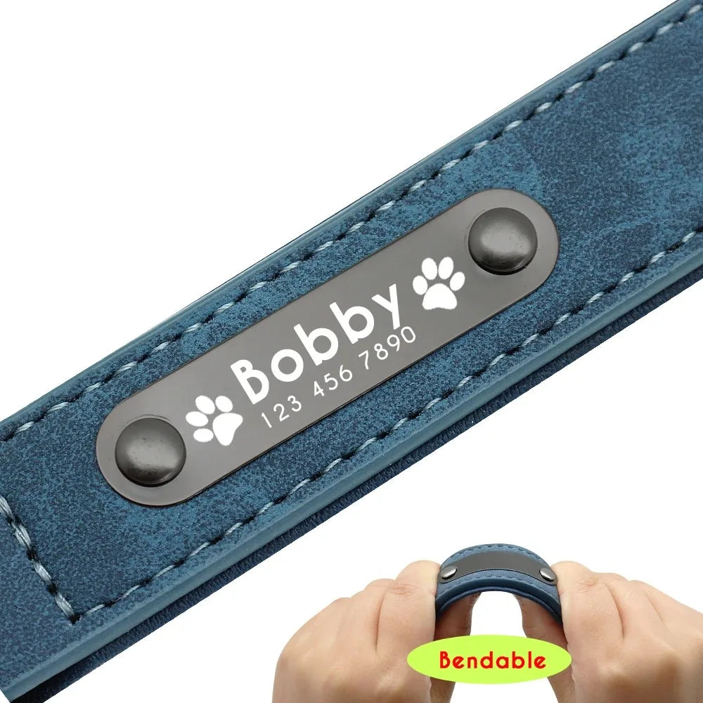 Personalized Dog Collar – Because Every Walk Is an Adventure That Deserves the Best
