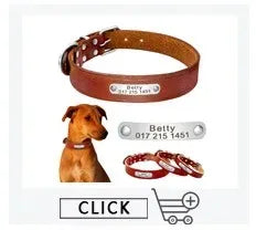 Personalized Dog Collar – Because Every Walk Is an Adventure That Deserves the Best