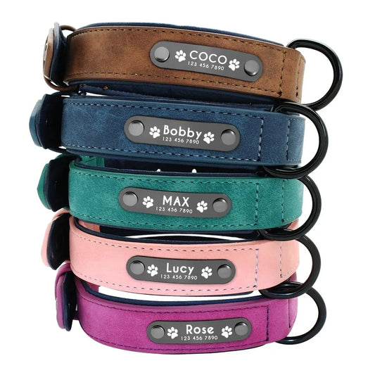 Personalized Dog Collar – Because Every Walk Is an Adventure That Deserves the Best