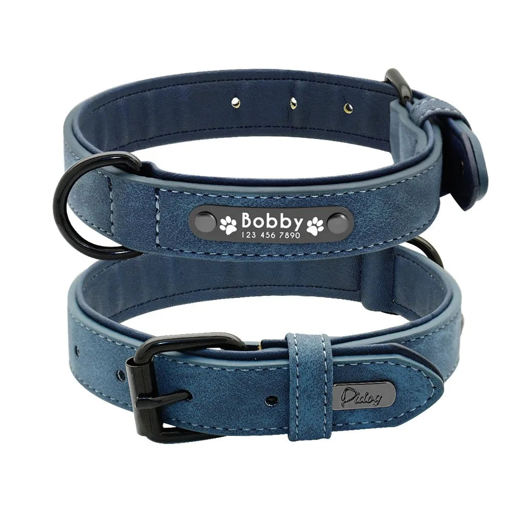 Personalized Dog Collar – Because Every Walk Is an Adventure That Deserves the Best