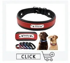 Personalized Dog Collar – Because Every Walk Is an Adventure That Deserves the Best