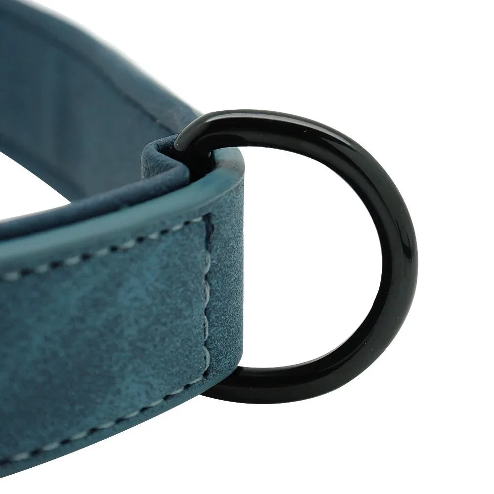 Personalized Dog Collar – Because Every Walk Is an Adventure That Deserves the Best