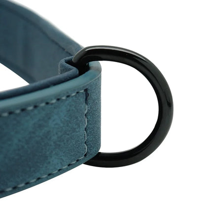 Personalized Dog Collar – Because Every Walk Is an Adventure That Deserves the Best