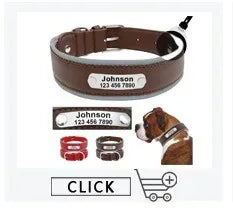 Personalized Dog Collar – Because Every Walk Is an Adventure That Deserves the Best