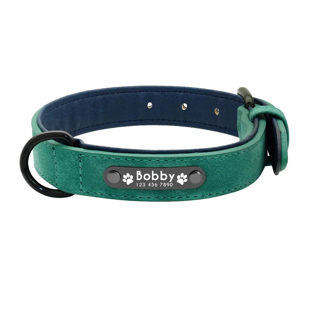 Personalized Dog Collar – Because Every Walk Is an Adventure That Deserves the Best