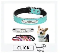 Personalized Dog Collar – Because Every Walk Is an Adventure That Deserves the Best