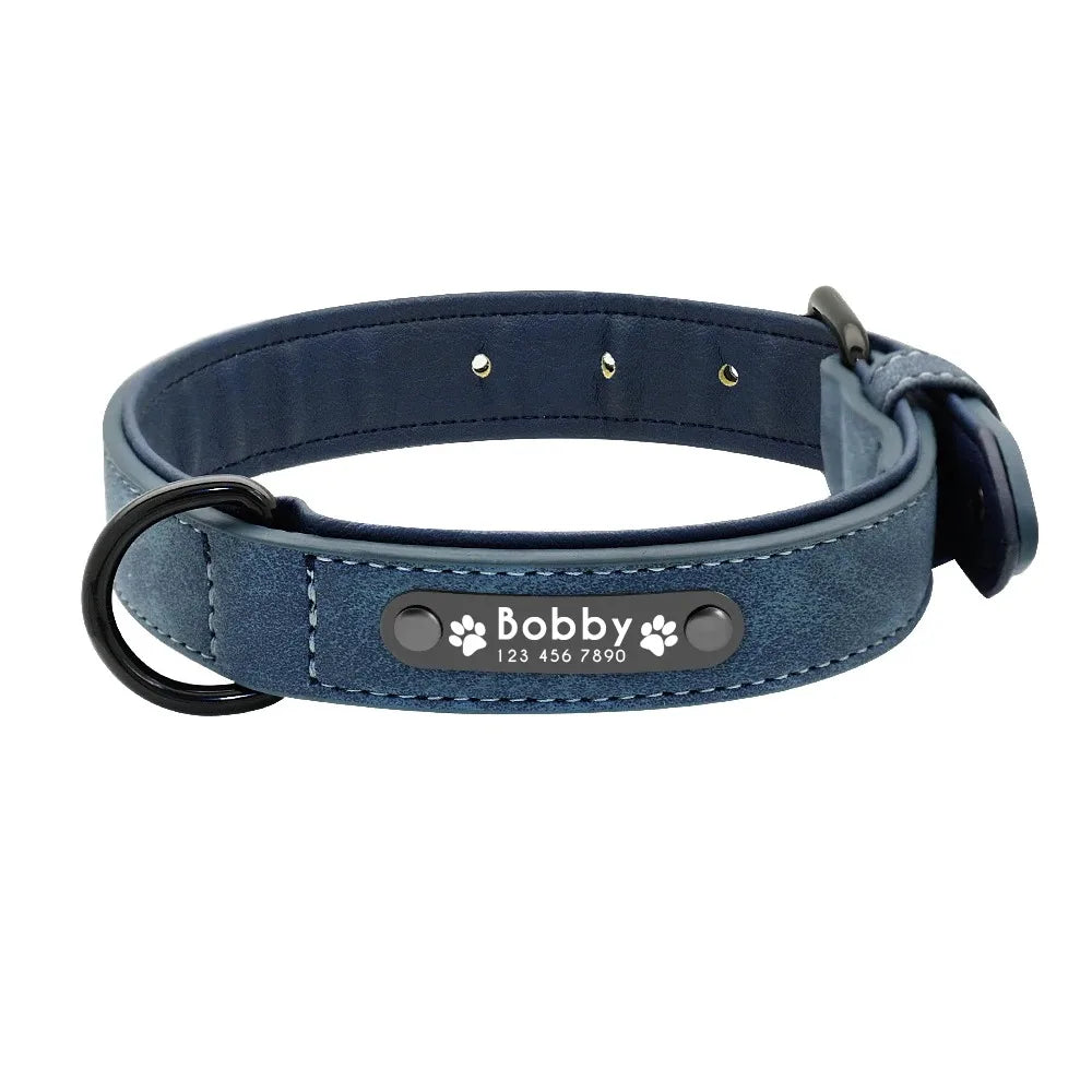 Personalized Dog Collar – Because Every Walk Is an Adventure That Deserves the Best