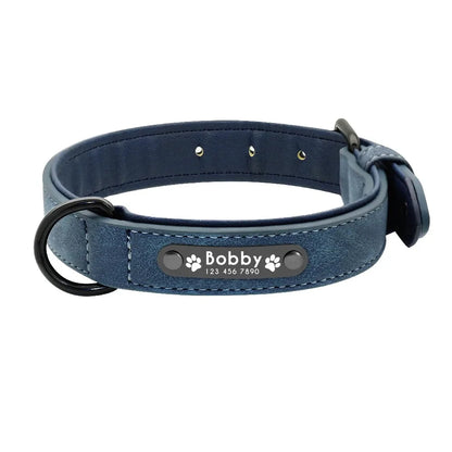 Personalized Dog Collar – Because Every Walk Is an Adventure That Deserves the Best