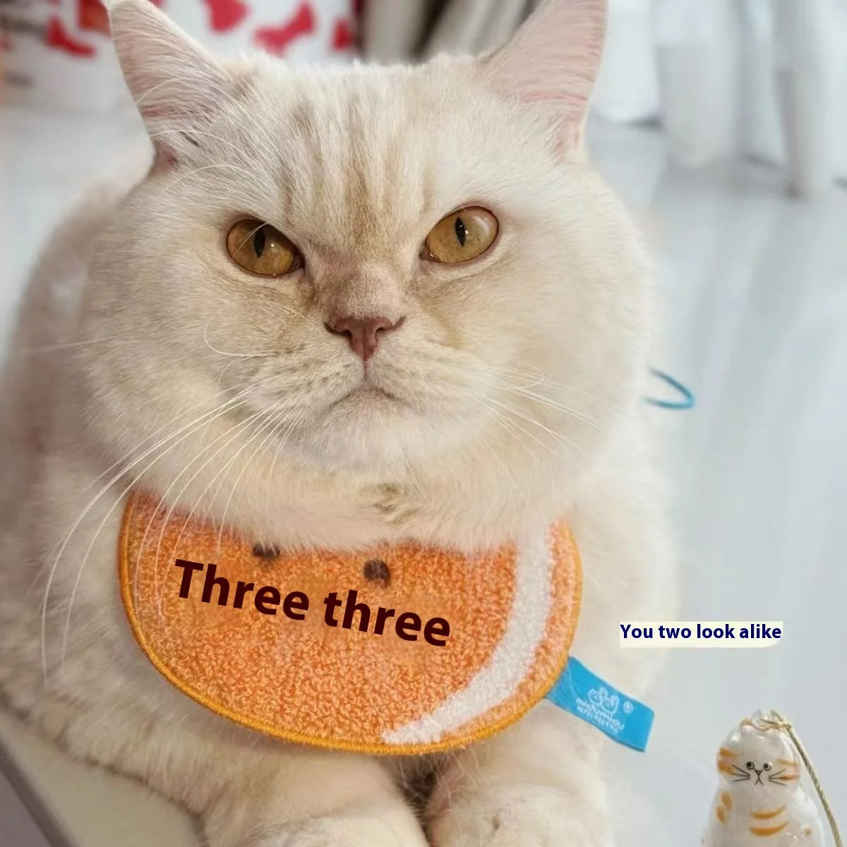 Cápsula Memorial para Pelos de Gato – Leva o Teu Companheiro Sempre Contigo